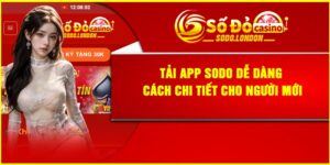 Tải App SODO Dễ Dàng – Cách Chi Tiết Cho Người Mới