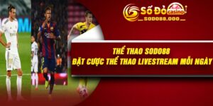 Thể Thao Sodo88 – Đặt Cược Thể Thao Livestream Mỗi Ngày