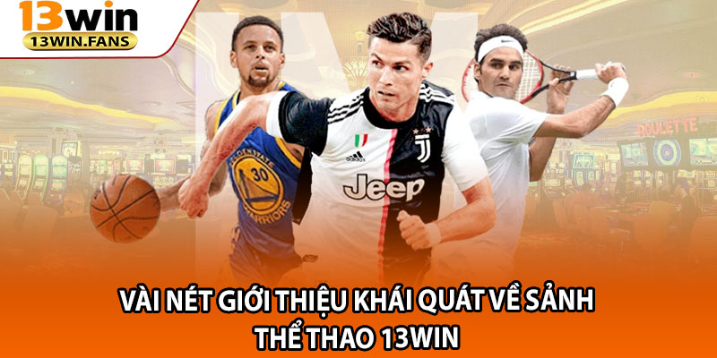 Vài nét giới thiệu khái quát về sảnh thể thao 13win